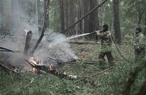 Чудовищная халатность. Все виновные должны быть наказаны