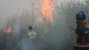 Площадь природного пожара на окраине Астаны выросла до 50 га
