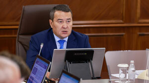 Видится нецелесообразным
