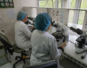 Количество поднимет качество?