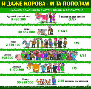 И даже корова - и та пополам