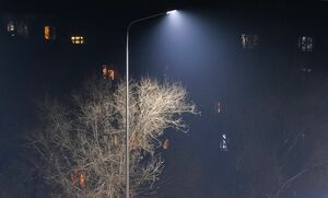 А им до фонаря