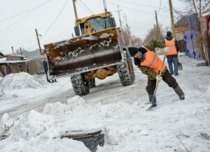 Сани с марта готовили