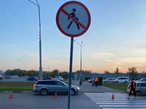 Что может быть хуже пешехода?!