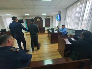 Как чиновник  с подушкой забавлялся