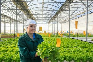 Семиречье на подъёме