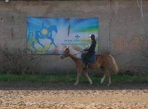 Смешались в кучу кони, люди