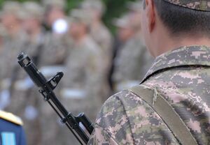 Пусть себе служит