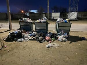 Мусорный коллапс