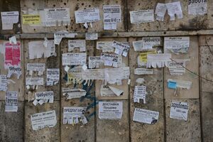 Затоварились физруками  и юристами