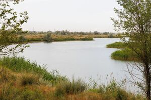 Повернут воды вспять