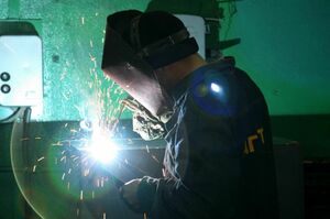 Пролетарии  над гнездом кукушки