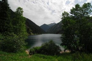 С “заботой” о природе