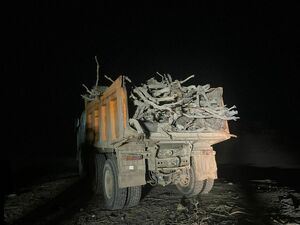 Нарубил дров