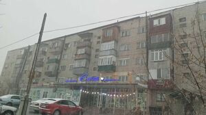 Тепло им только снится