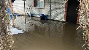 Всемерный потоп