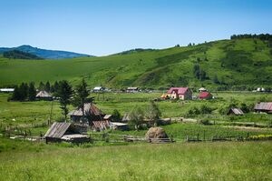 Выйду на улицу, гляну на село...