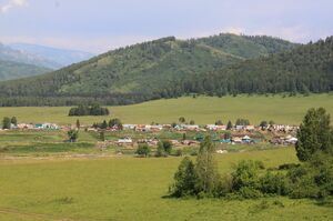 Кадровая приманка