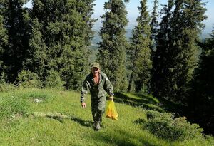 Долгожданная индексация