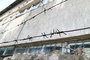 Будет сидеть долго