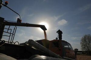 Уборочная страда: задачи  и перспективы