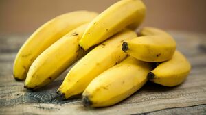 Выращивание местных бананов и оливок планируют развивать в Казахстане