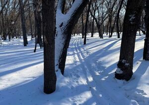 Уход  в расцвете лет