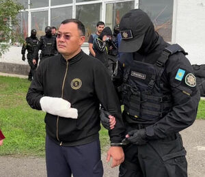 Персона нон брата
