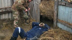 Тюк по голове