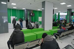 Отогнали от кормушки