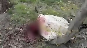 Намешали в кучу