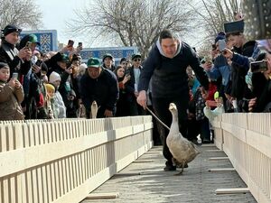 Старты  для лапчатых