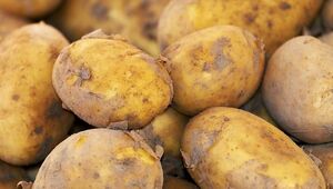 Минсельхоз ожидает снижения цены на картофель в текущем году