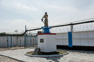 Амнистия для избранных?