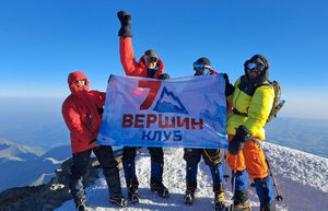 Голодные волки