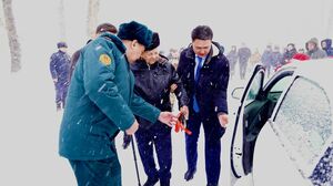 Крепче за баранку держись, шофер!