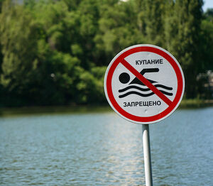 Смотреть, но не нырять