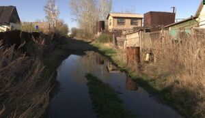 Огороды на мокром месте