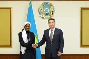 Замгенсека ООН удивилась оснащению астанинских клиник