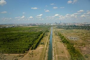Дизайн-код с особым статусом