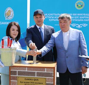 Новая точка роста