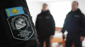 Выстрел в висок