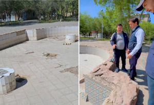 Пришёл, увидел и спалил?