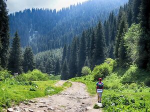Страна ждёт туристов, курорты - финансирования