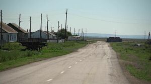 Трезвый выбор