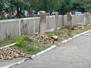 Воспитание штрафами