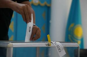 Явка на выборах в Курултай составила 17,96%