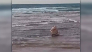 Видео с "матерью погибшего моряка" оказалось фейком