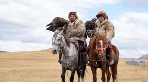 Крылатые хищники в небе Бозанбая