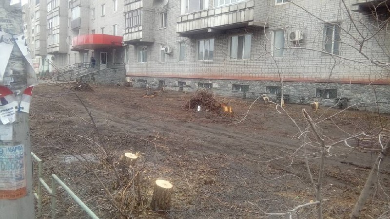 Ради прибыли коммерсант Ринат ИМАНГЕЛЬДИНОВ уничтожил всю зеленую зону возле своего заведения. Вновь облагороженная территория абсолютно не вдохновила семейчан.
